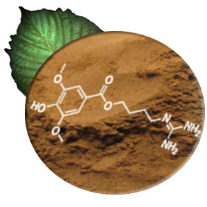 Kratom Extract 3:1 Green Powder (image for) Kratom Extract 3:1 Green Powder