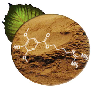 Kratom Extract 3:1 Jungle Powder (image for) Kratom Extract 3:1 Jungle Powder