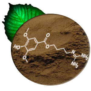 Kratom Extract 3:1 Maeng Da Powder (image for) Kratom Extract 3:1 Maeng Da Powder