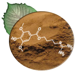 Kratom Extract 3:1 White Powder (image for) Kratom Extract 3:1 White Powder