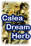 Calea Zacatechichi (image for) Calea Zacatechichi