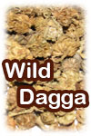 Wild Dagga (image for) Wild Dagga