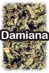 Damiana (image for) Damiana